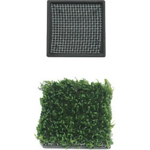 Bitki Izgarası 5 Cm (Kare)