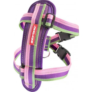 Harnes Chest Plate 2X-Small Buble Köpekler İçin Göğüs Tasması