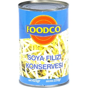 Soya Filizi 425 gr
