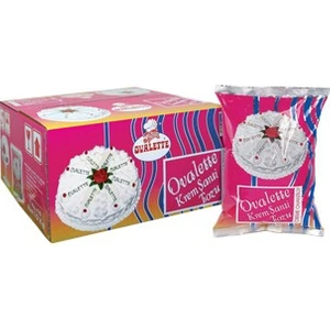 Toz Krem Şanti 1 kg