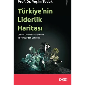 Türkiye’nin Liderlik Haritası