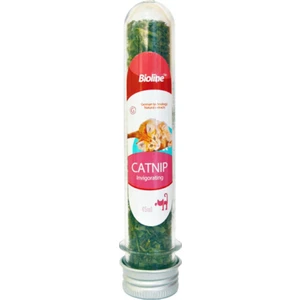 Catnip Kediotu 45 Ml