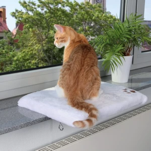 Kedi İçin Cam Önü Oturma Platformu Beyaz 51 Cm X 36 Cm