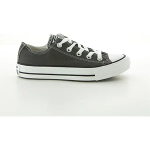 Chuck Taylor All Star Ayakkabı 1J794C