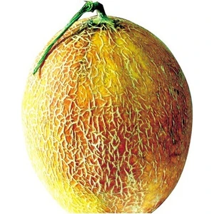 Tohum Diyarı Ananas Bal Kavun Tohumu 5+ Tohum