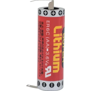 Er6C Lithium Pil