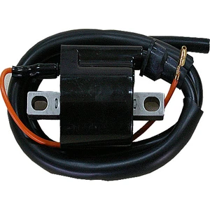 100 CUP Ateşleme Bobini(1999-2016)