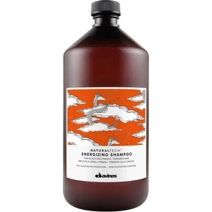 Energızıng Shampoo 1000 Ml Dökülmeye Karşı Enerji Veren Şampuan 71147