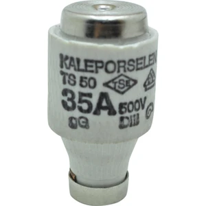 35A Porselen Sigorta Buşonu