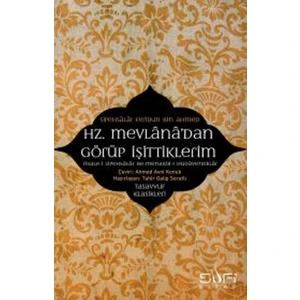 Hz.Mevlana'dan Görüp İşittiklerim