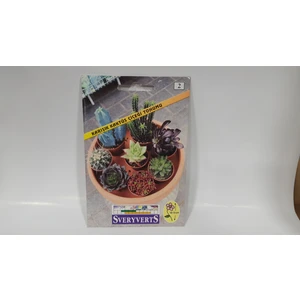 Karışık Kaktüs Çiçeği Tohumu Paket