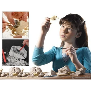 Mumya Arkeolojik Kazı Seti