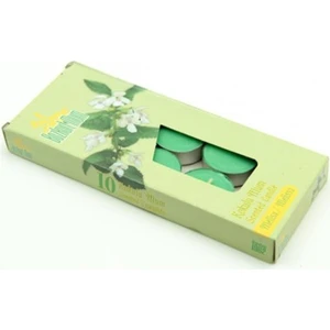 Kokulu Tealight Mum (Melissa)