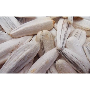 Kavrulmuş Tuzlu Ay Çekirdeği 1 kg