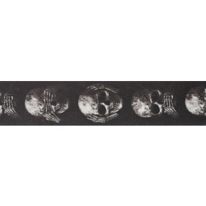 Planetwaves 50Al01 Gitar Askısı 50Mm Alchemy Str-Muted Skull