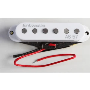 As57-B Bridge Alnico Single Magnetic 6,5K