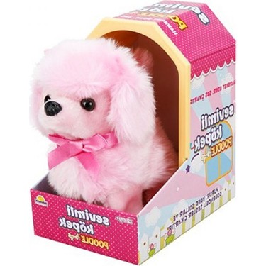 Sunman Sevimli Köpek Poodle Fiyatı Taksit Seçenekleri