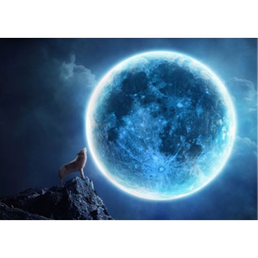 Dolunay Notebook Sticker Fiyati Taksit Secenekleri Ile Satin Al