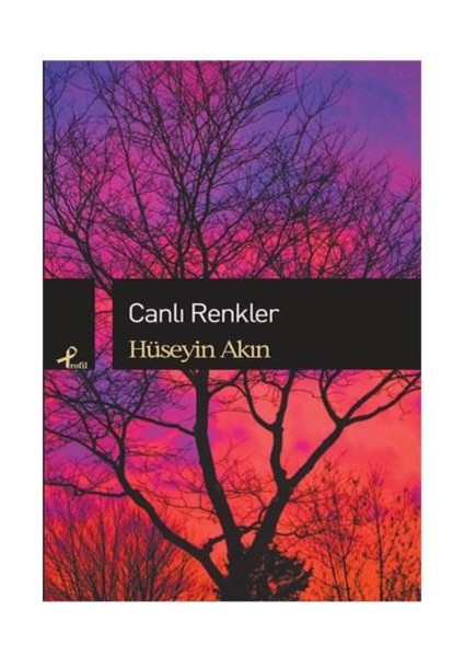 Canlı Renkler - Hüseyin Akın