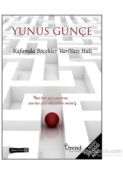 Kafamda Böcekler Var / Yazı Hali-Yunus Günçe