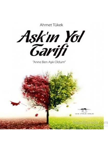 Aşkın Yol Tarifi-Ahmet Tükek