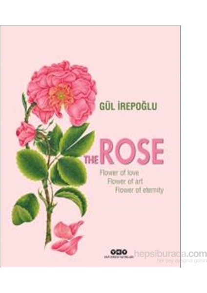 The Rose – Flower Of Love, Flower Of Art, Flower Of Eternity-Gül İrepoğlu