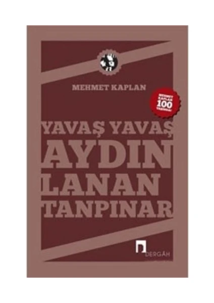 Yavaş Yavaş Aydınlanan Tanpınar - Mehmet Kaplan