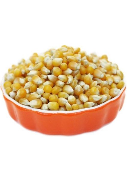 Pop Corn Mısır 500 gr