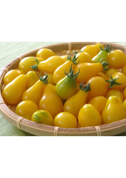 Sarı Ampul Cherry Domates [Tohhum Ev Bahçe]