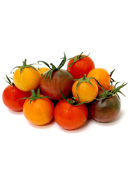 Dört Çeşit Cherry Domates* (Eko Paket) [Tohhum Ev Bahçe]