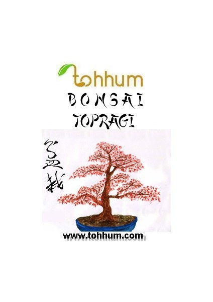 Bonsai Ağaç Toprağı Karışımı 3 Litre [Tohhum Ev Bahçe]