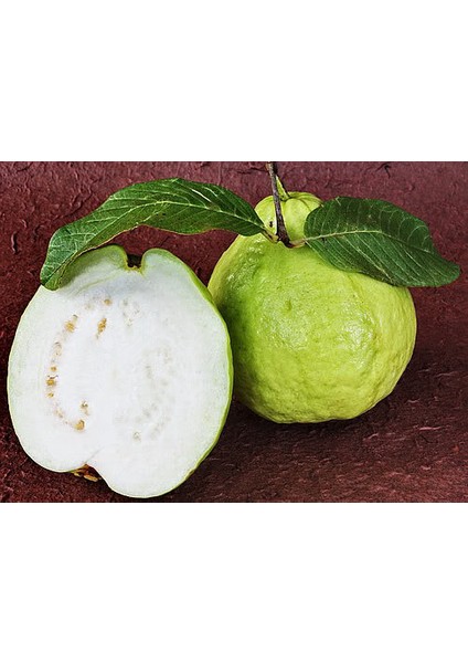 Dev Guava (Giant)* 4 Tohum [Tohhum Ev Bahçe]