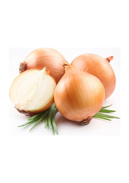 Onion Soğan* 50+ Tohum [Tohhum Ev Bahçe]