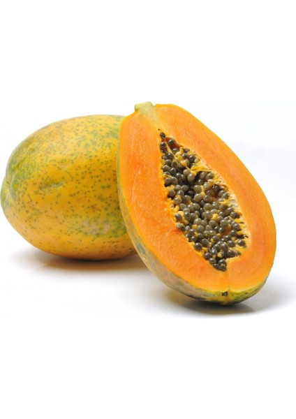 Papaya Meyvesi Tohumu [Tohhum Ev Bahçe]