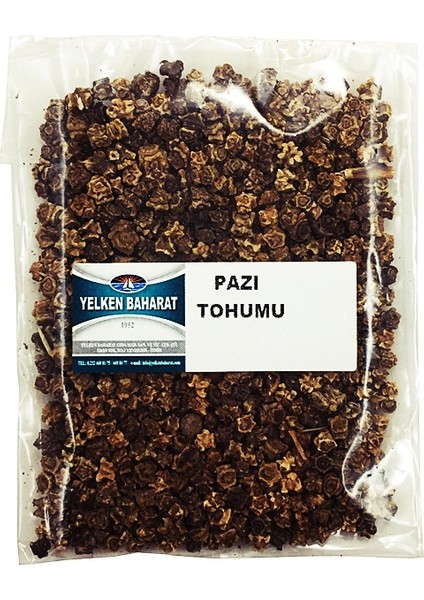 Pazı Tohumu 100Gr