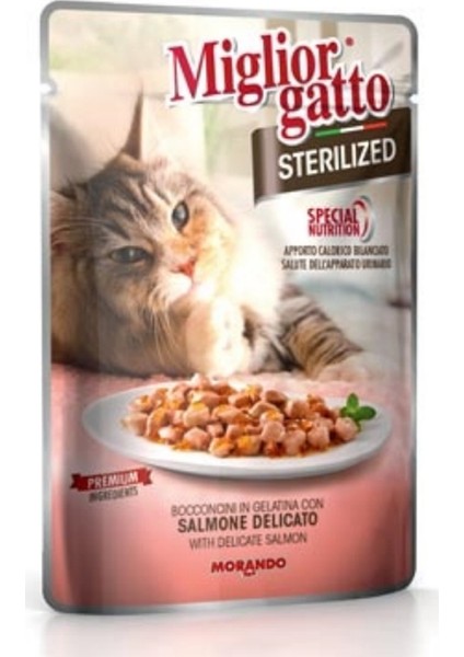 Sterilized Somon Balıklı Kedi Konservesi 85 Gr