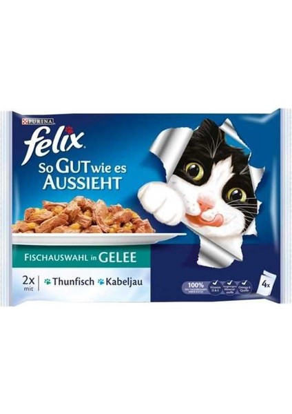Morina Balıklı Ve Ton Balıklı Konserve Kedi Maması 85 Gr (4'Lü Paket)