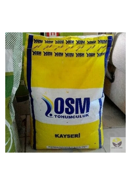 Osm Kayseri Yonca Tohumu 10 Kg Yonca