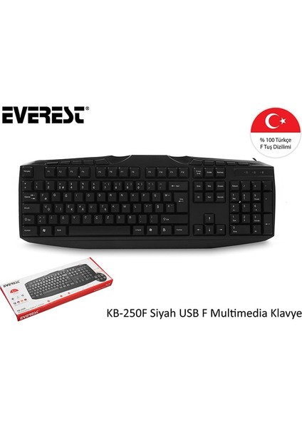 KB-250F Siyah Tamamen Türkçe F Multimedia  USB Klavye