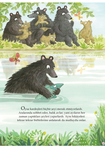 Ayılar Kitap Okumaz - Emma Chichester Clark modelleri