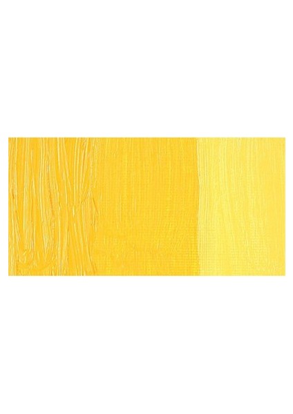Huile Fine Xl 37 Ml Yağlı Boya No49 Aureoline