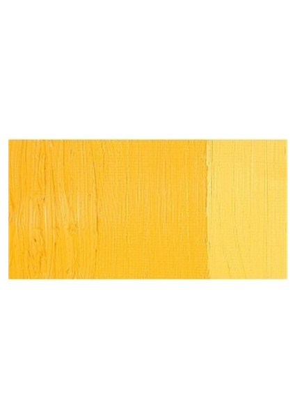 Huile Fine Xl 37 Ml Yağlı Boya No03 Cadmium Yellow Deep Hue