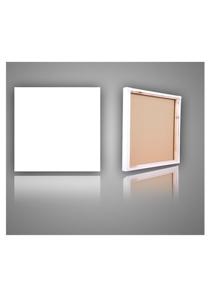 40 X 40 Profesyonel Tuval