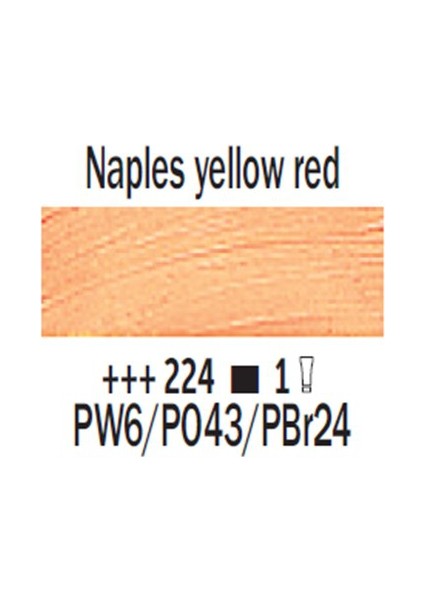 Van Gogh 40 Ml Yağlı Boya Seri 1 No 224 Naples Yellow Red
