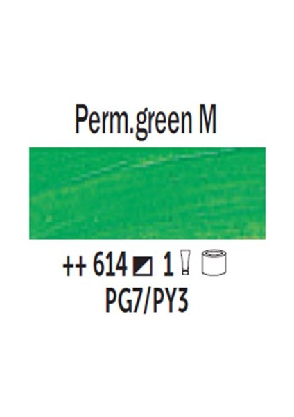 Van Gogh 40 Ml Yağlı Boya Seri 1 No 614 Perm. Green Medium