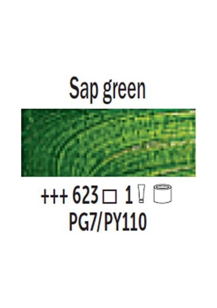 Van Gogh 200 Ml Yağlı Boya Seri 1 No 623 Sap Green
