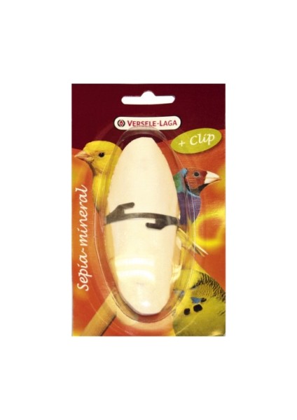 Sephia Mürekkep Balığı Kemik 12 Cm