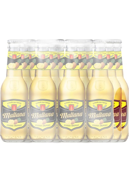 Ananas 270 ml Şişe 12'li Koli