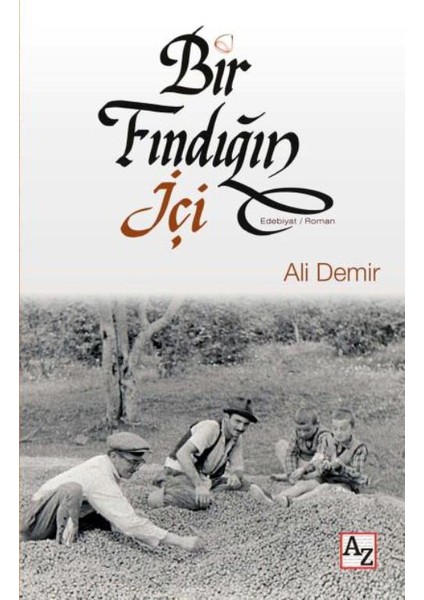 Bir Fındığın İçi