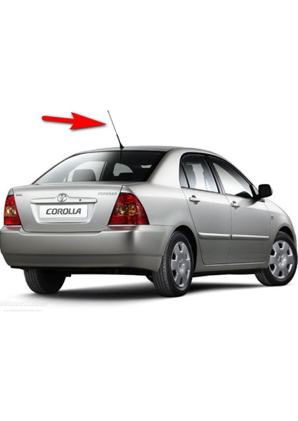 Citroen C1 Çubuk Tepe Anteni Yüksek Çekim Gücü AM FM radio uyumlu